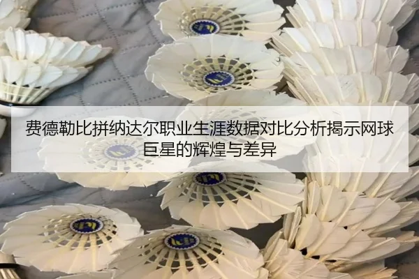 费德勒比拼纳达尔职业生涯数据对比分析揭示网球巨星的辉煌与差异