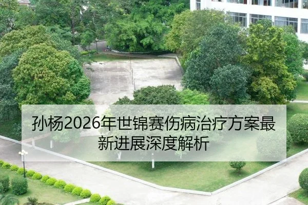孙杨2026年世锦赛伤病治疗方案最新进展深度解析