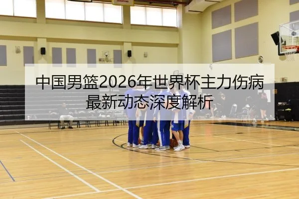 中国男篮2026年世界杯主力伤病最新动态深度解析